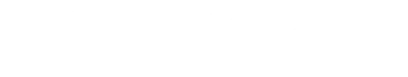 Vidmuse